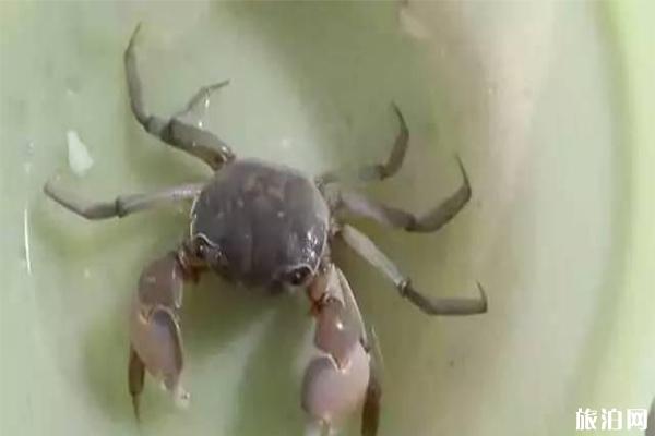 中秋节去宝鸡怎么样_中秋节去宝鸡怎么样_中秋节去宝鸡好玩吗？