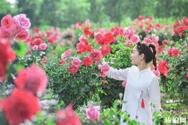 元旦晋中穿衣指南_元旦晋中穿什么衣服_元旦晋中天气温度