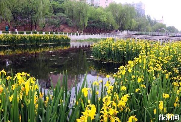 冬天去阳泉怎么样_冬天去阳泉怎么样_冬天去阳泉好玩吗？
