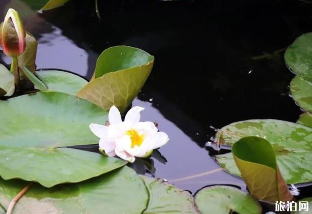 中秋游阳泉必备物品_中秋游阳泉穿衣指南_中秋游阳泉推荐