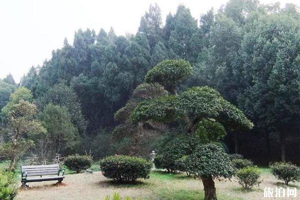 1月去朔州旅游必备物品_ 1月去朔州旅游推荐_ 1月去朔州旅游推荐美食
