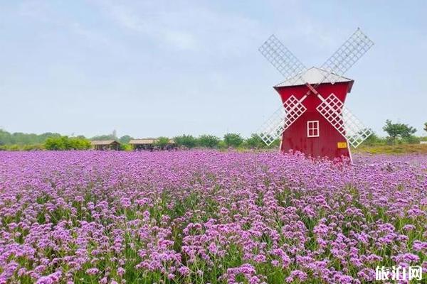 朔州春节穿衣指南_春节去朔州当月天气_春节去朔州景区推荐