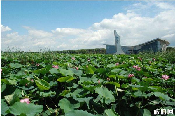 2020铁岭荷花节是什么时候和地点 铁岭荷花节门票价格