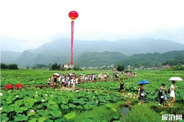 固原市至冲绳旅游_固原市至冲绳旅游价格_固原市至冲绳旅游交通