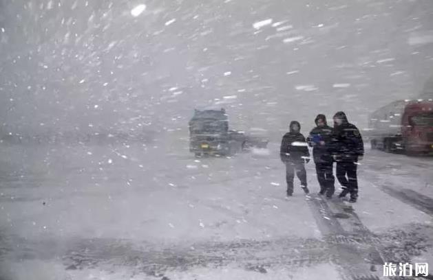 银川西夏风格公园滑雪场_银川西夏风格公园滑雪场开放时间_银川西夏风格公园滑雪场位置交通