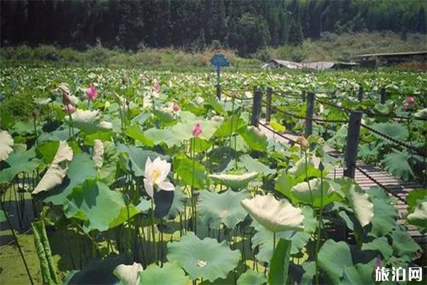 10月去宁夏怎么样_ 10月去宁夏怎么样_ 10月去宁夏好玩吗？