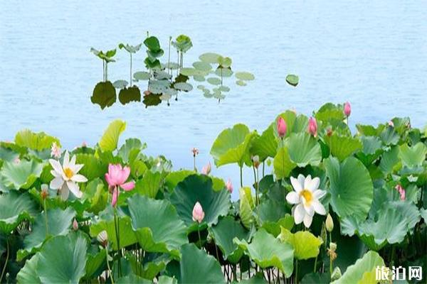 四月去宁夏怎么样_四月去宁夏怎么样_四月去宁夏好玩吗？