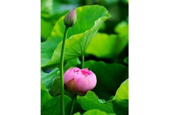 5月去锡林郭勒旅游必备物品？你带了什么？