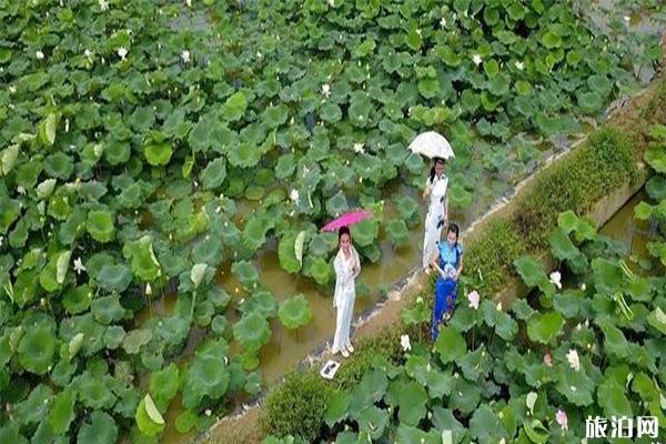 夏天去锡林郭勒怎么样_夏天去锡林郭勒怎么样_夏天去锡林郭勒好玩吗？