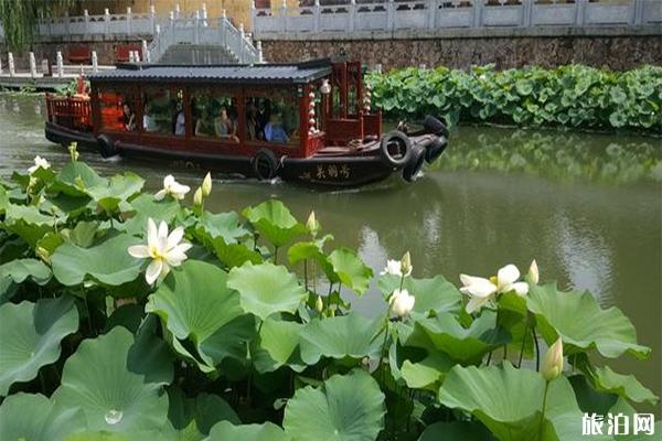 乌海市至京都旅游_乌海市至京都旅游价格_乌海市至京都旅游线路