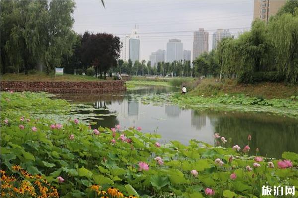 乌海市至金边旅游_乌海市至金边旅游价格_乌海市至金边旅游线路