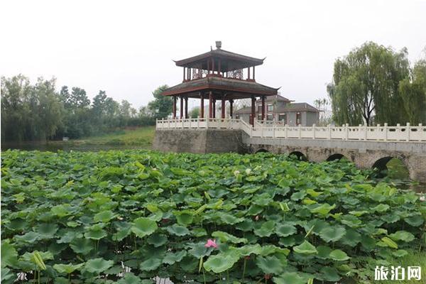 乌海市至釜山旅游_乌海市至釜山旅游价格_乌海市至釜山旅游线路