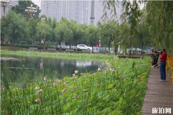 乌海市至东京游_乌海市至东京游价格_乌海市至东京游路线