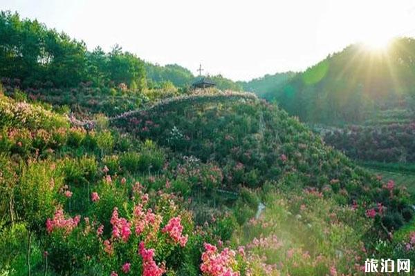 澳门到普吉岛旅游指南_行程表_景点推荐