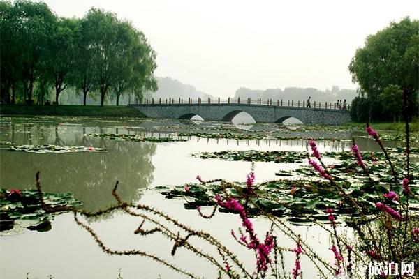阜阳迪沟风景区在哪里 好玩吗 交通+游玩指南