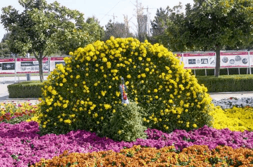 六月鹤岗穿衣指南_六月鹤岗穿什么衣服_六月鹤岗天气温度