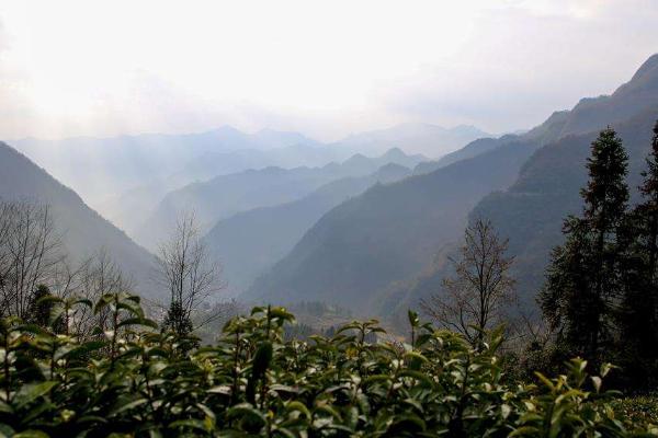 湖南常德旅游景点介绍
