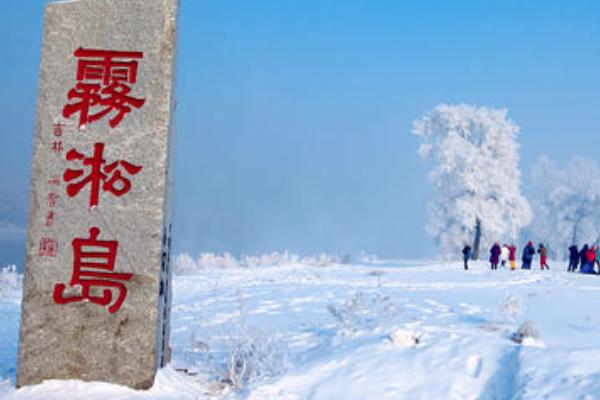 吉林天桥岭林区又见野生东北虎 吉林林场第六次拍到野生东北虎