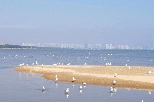 2021秦皇岛春节暂停开放景区有哪些