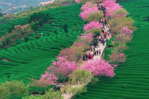 安顺至Xi安旅游指南_行程安排_景点推荐