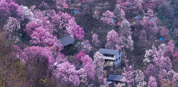 绵阳周边一日游景点推荐 绵阳景点介绍