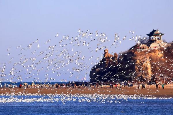 2021年河北乡村旅游11条精品主题线路推荐