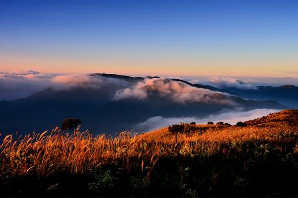 株洲旅游十大必去景区