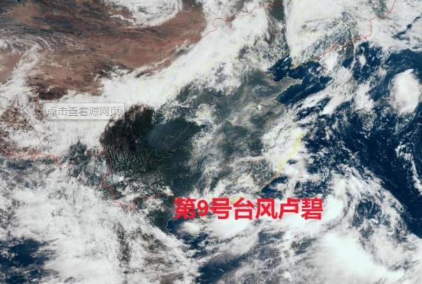 2021年第9号台风对茂名的影响