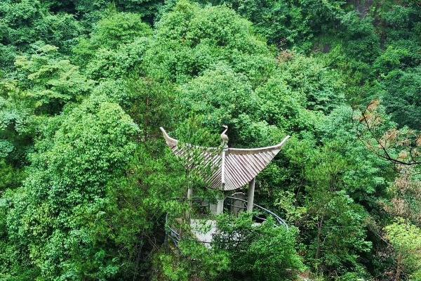受疫情影响8月台州天台山景区实行限流