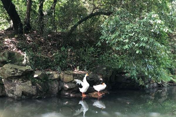 2021绍兴兰亭度假区旅游公交路线