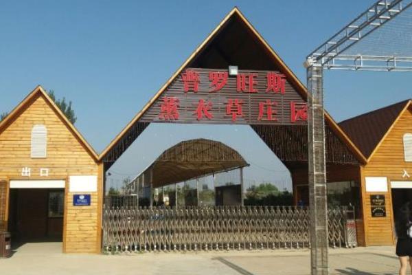 受疫情影响襄阳普罗旺斯薰衣草庄园临时闭园