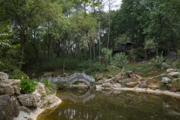 受疫情影响襄阳鹿门山景区暂停开放