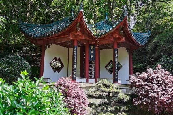 受疫情影响岳阳楼君山岛景区暂停开放