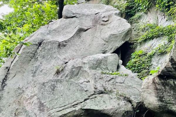8月疫情后连云港花果山风景区恢复开放时间
