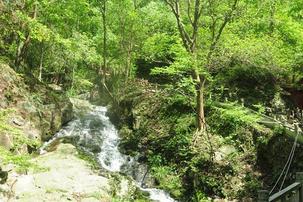 8月岳阳县刘备洞峡谷景区恢复开放时间
