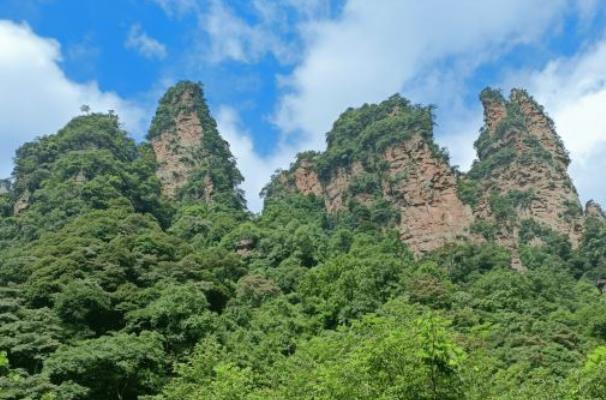 2021张家界A级景区半价活动时间