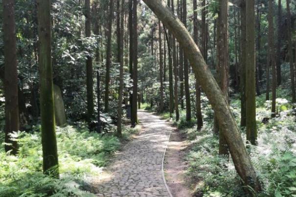2021南通狼山森林公园景区宗教场所恢复开放时间