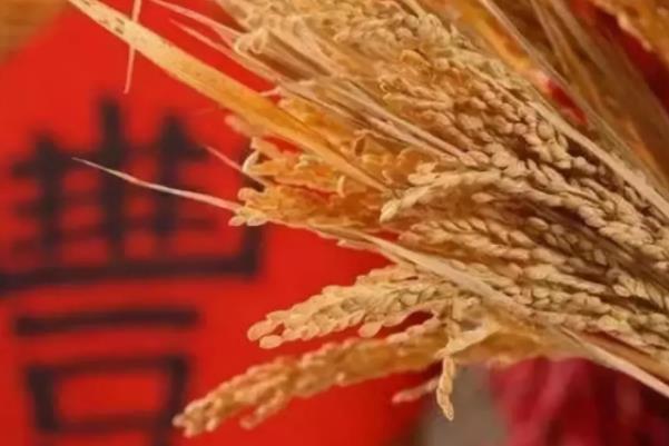 2021襄阳中国农民丰收节地点-时间