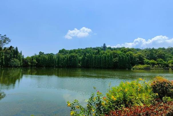 肇庆开心100星湖卡有哪些景区