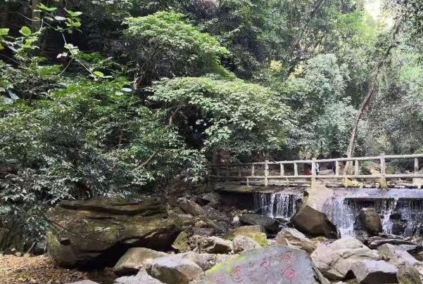 肇庆开心100星湖卡有哪些景区