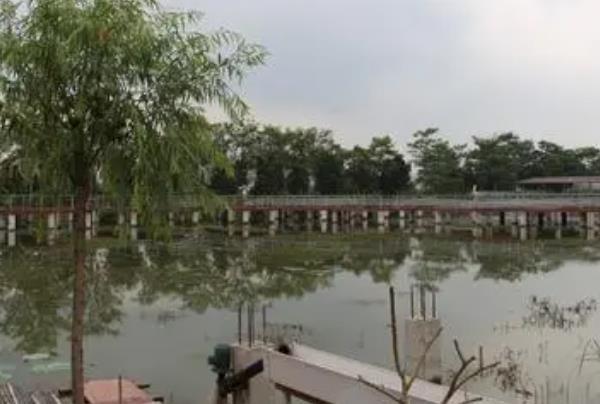 2021东莞农业休闲旅游路线推荐