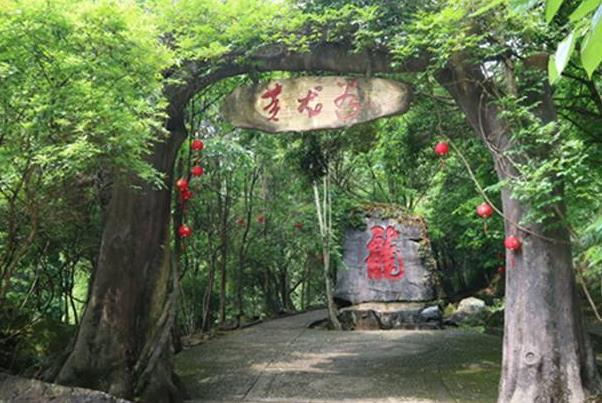 怎么买韶关旅游年卡