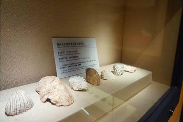 2021南宁顶蛳山遗址博物馆国庆节活动内容