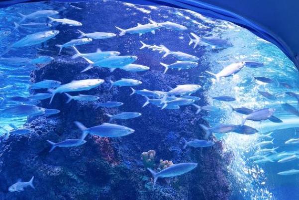 2021国庆节湖北省景点优惠活动汇总