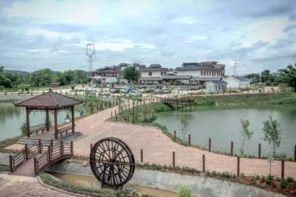 2021南宁上林万古茶园国庆节活动