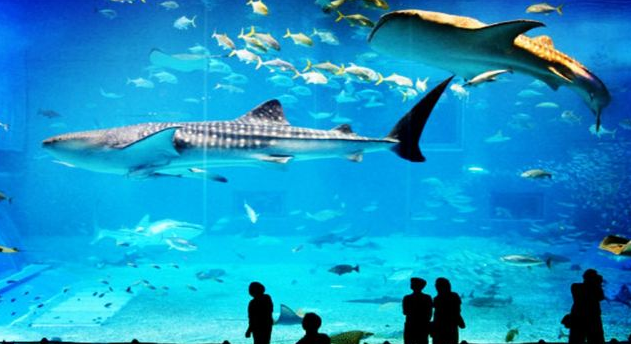 2021徐州云龙山索道门票  徐州水族展览馆门票优惠