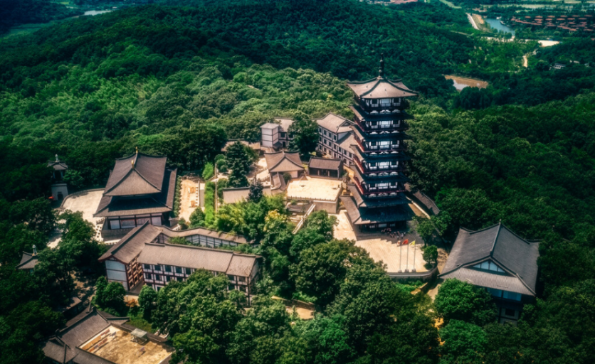 合肥赏花的景点-肥西赏花