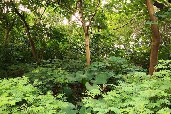 2021连云港潮河湾景区重阳节有哪些活动