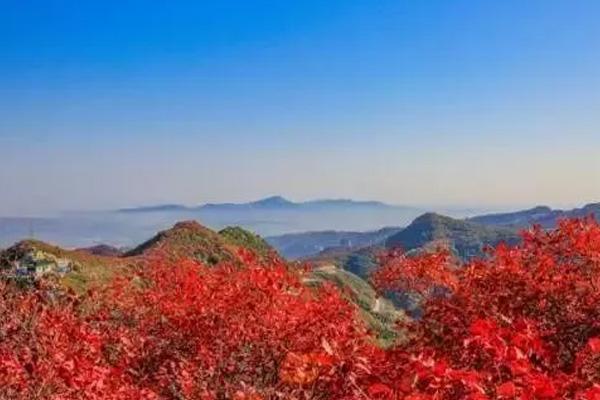 河南赏红叶的绝佳地有哪些
