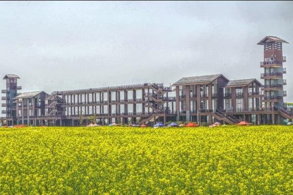 2021泰州兴化千垛景区十月游玩攻略